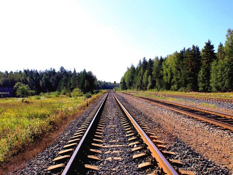 Rajiv Mehta - Business Owner