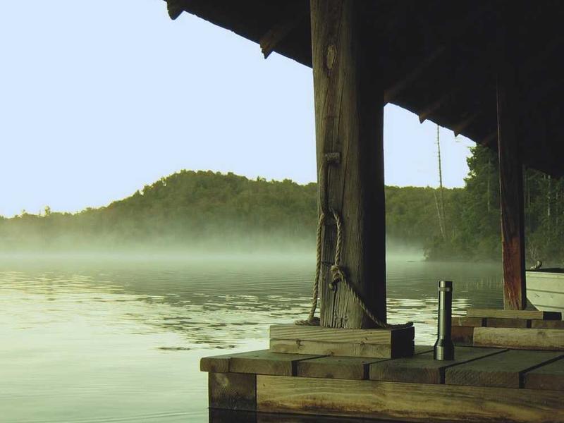 Varicose Veins Treatment